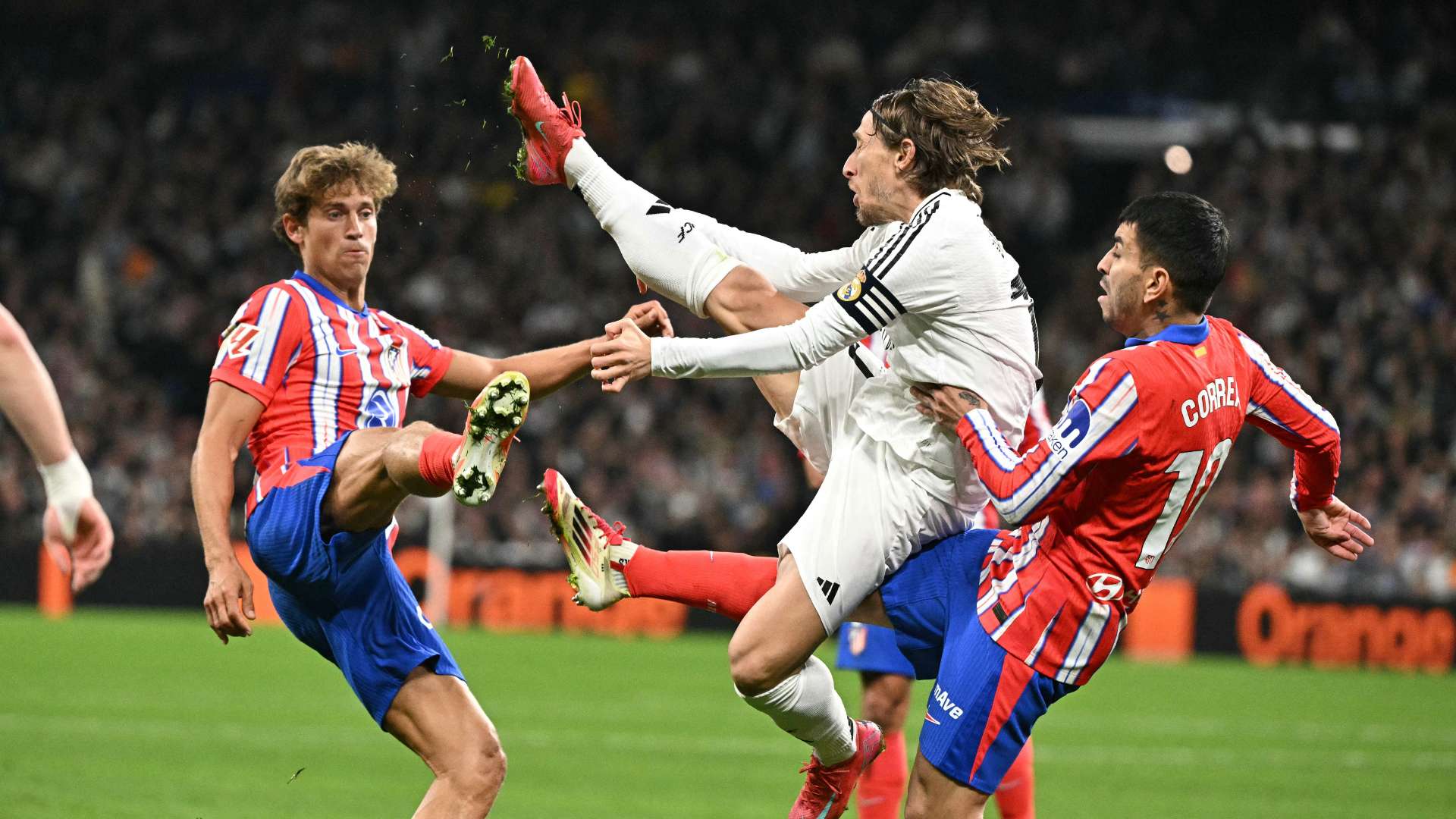 历届世界杯 历届世界杯