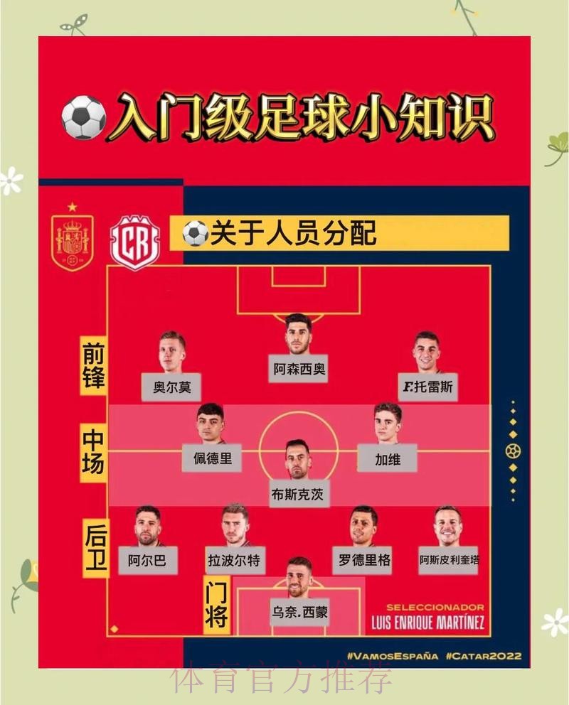 世界杯下注指南：新人必读手册